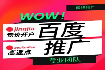 SEM竞价技巧：成功案例揭秘